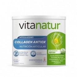 Vitanatur Collagen Antiox...
